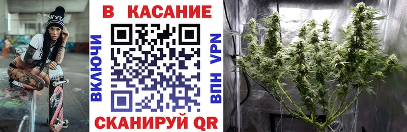 Наркота Аркадак Псилоцибиновые грибы  Бутират  Меф мяу мяу  Амфетамин  Гашиш  КОКАИН  Конопля 