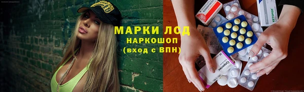 трава Арсеньев
