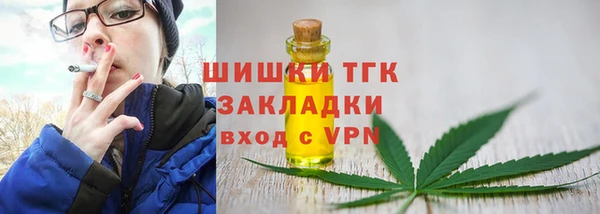 СК Новозыбков