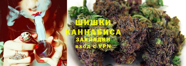 амф Аркадак