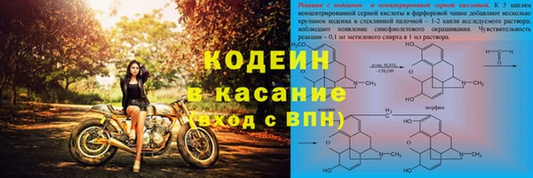 амф Аркадак