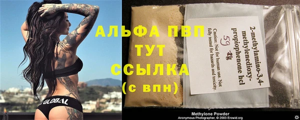 амф Аркадак